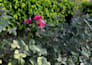 create engaging nature content with original photos